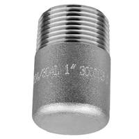 1-1/2" Round Head Plug, Forged, Class 3000, Threaded, T304/304L Stainless