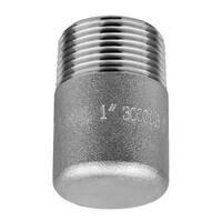 RHP12FT3S316 1/2" Round Head Plug, Forged, Class 3000, Threaded, T316/316L Stainless